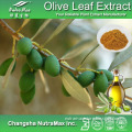 Olive (Olea Europaea) Leaf Extract (10%~40% Oleuropein/hydroxytyrosol)